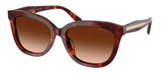 Coach HC8453U CDP53 593874 Womens Sunglasses Tortoiseshell Size 56