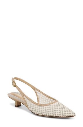 Franco Sarto Pura Slingback Pointed Toe Kitten Heel Pump in Off White at Nordstrom, Size 9.5