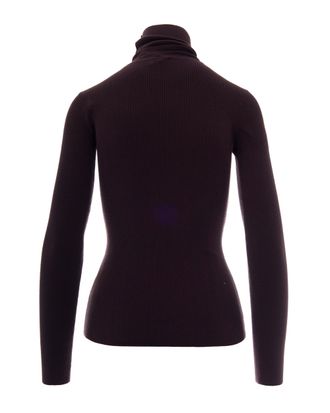 Elisabetta Franchi Turtleneck Sweater - Brown
