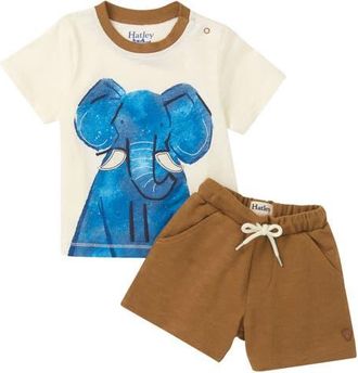 Hatley Kids Elephant Cotton T-Shirt & Pull-On Shorts Set in Cami Lace at Nordstrom, Size 18-24M