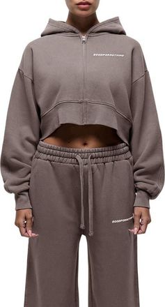 Good For Nothing Vintage Taupe Crop Zip Hoodie in Brown at Nordstrom, Size X-Small Uk
