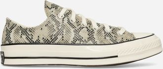 Converse Chuck 70 Faux Snakeskin Sneakers Pale Surplus / Egret / Black
