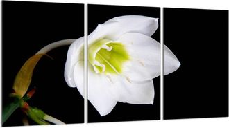 OEM Placa Protectora De Vidrio Para Estufa 3x30x52