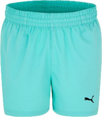 Puma Puma Mens Essentials Woven Shorts 5 Tracksuit Short Turquoise M