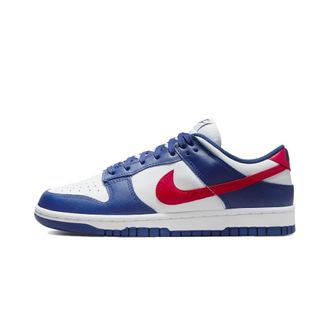 Nike Fitness, Dames, Veelkleurig, 35 1/2 EU, Leer, Dunk Low USA