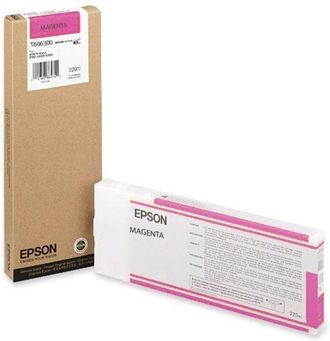 Epson Cartucho Impresora Epson C13t606300