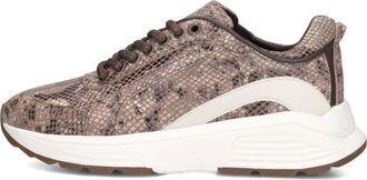 Xsensible Dames, Schoenen, Bruin, Maat: 38 EU Leer