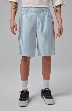 Nike Jordan Brooklyn Cat Scratch Shorts in Aura/Iced Carmine at Nordstrom, Size Xx-Large