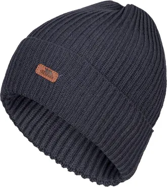 Trespass Gender Inclusive Dornan Beanie in Dark Flint at Nordstrom, Size Large/x-Large