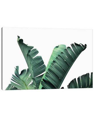 iCanvas Banana Leaves By Sisi & Seb Wall Art