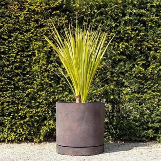 PRIMROSE Matte Bronze Limestone Round Planter Pot with Saucer 50cm in Orange
