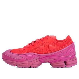 adidas Raf Simons x Ozweego Glory F34265