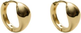 Argento Vivo Solid Signet Hoop Earrings in Gold at Nordstrom