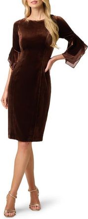 Adrianna Papell Velvet Bell Sleeve Sheath Dress in Dark Brown at Nordstrom, Size 16