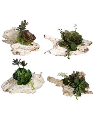 A&B Home Set Of 4 Succulents On Wood Stands