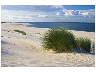 Schubiger M&ouml;bel Digitaldruck auf Acrylglas Strand mit D&uuml;nengras