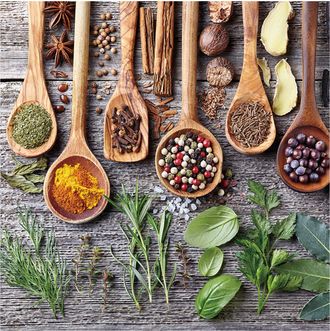 Schubiger M&ouml;bel Digitaldruck auf Glas Holzl&ouml;ffel mit Gew&uuml;rzen 1