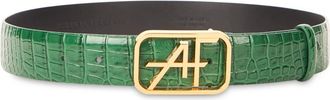 Alberta Ferretti Donna, Accessori, Verde, S, new