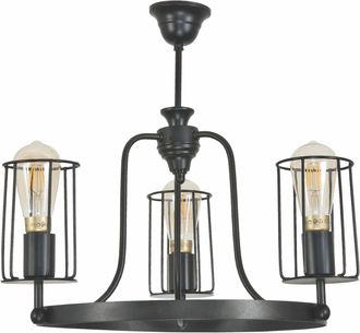 OEM L&aacute;mpara De Techo Industrial Tipo Loft, Color Negro, Modelo Tori 12-442