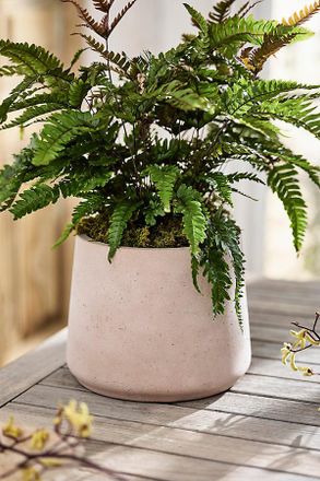 Terrain Sloped Side Cement Planter