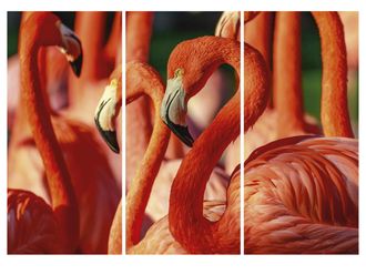 Schubiger M&ouml;bel Digitaldruck auf Acrylglas Flamingos