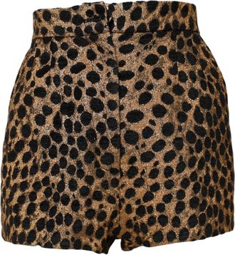 Dolce & Gabbana Womens Brown Leopard High Waisted Hot Pants Shorts