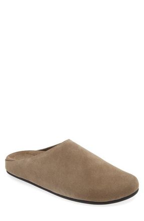 Jeffrey Campbell Content Suede Clog in Light Khaki Suede at Nordstrom, Size 6.5