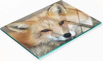 OEM Tabla De Cocina De Vidrio Templado Duradera Y Elegante Con Estampado De Zorro, 80x52 Cm
