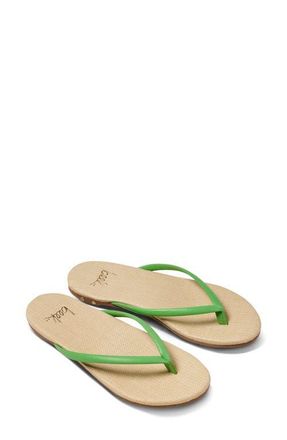 beek Sunbeam Flip Flop in Palm /Raffia at Nordstrom, Size 11