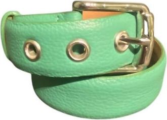 W. Kleinberg Green Belt With Grommets