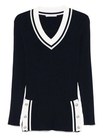 Alberta Ferretti Classic Knit Sweater with Design