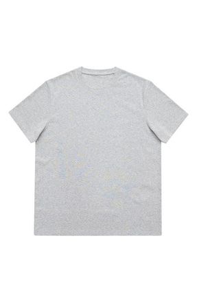 DL1961 Stretch Cotton Rib Crewneck T-Shirt in Grey at Nordstrom, Size X-Large