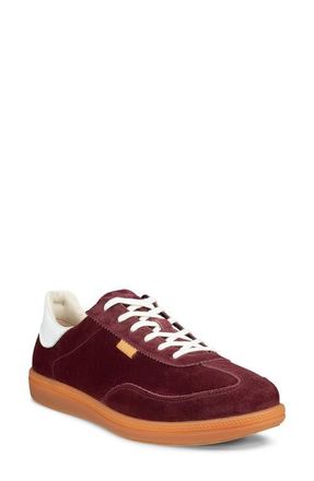 Ecco Soft 11 Sneaker in Dark Ruby/Bright White at Nordstrom, Size 5-5.5Us