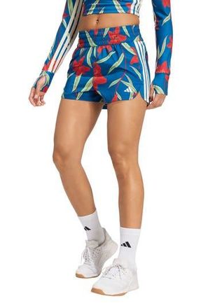 adidas x FARM Rio Pacer Shorts in Dark Marine/Red/Cream White at Nordstrom Rack, Size X-Large
