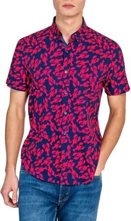 ConStruct Lobster Short Sleeve Woven Button Down Shirt in Navy/Red at Nordstrom Rack, Size X-Large