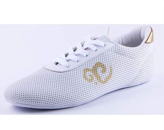 Generic Taekwondo Shoes, Martial Arts Sneakers, Sport Boxing Kung Fu Taichi Lightweight for Adults and Children(White,10.5 UK Child)