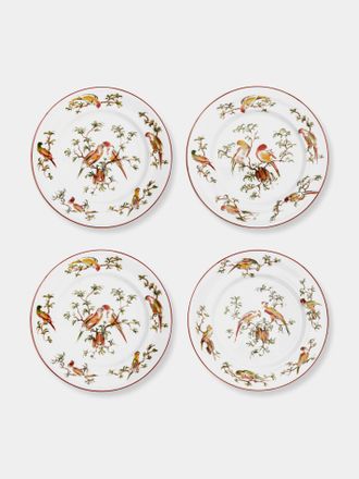 Laboratorio Paravicini Pappagallini Ceramic Dinner Plates - 10in/25cm (Set of 4)