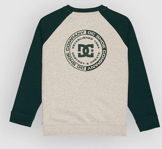 DC Corpo Raglan Crew Kids Sweater groen