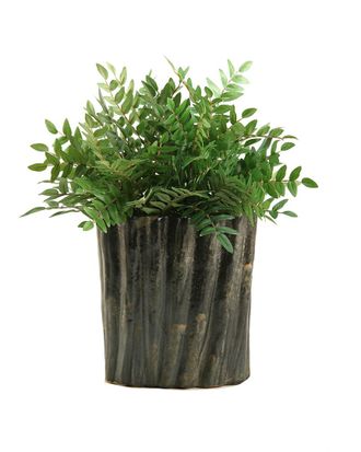 D&W Silks 19In Green Locust Spray In Oval Ceramic Planter