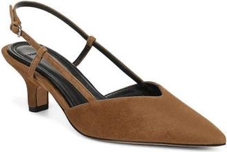 Vince Levvy Slingback Pointed Toe Kitten Heel Pump in Elmwood at Nordstrom, Size 8.5