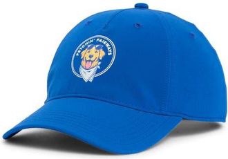 Swannies Gale Baseball Cap in Blue at Nordstrom