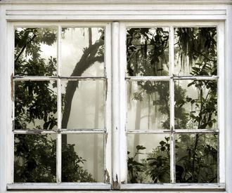 Queence Wandsticker »Dschungel« Wandsticker, Wandbild, selbstklebend, 3D, Fenster