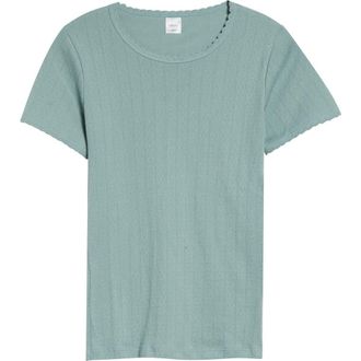 Leset Cotton Pointelle Slim Fit T-Shirt in Eucalyptus at Nordstrom, Size X-Small