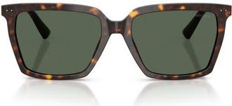 Jimmy Choo London 55mm Square Sunglasses in Havana /Dark Green at Nordstrom