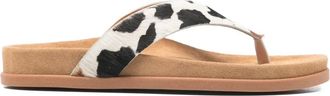 Ancient Greek Sandals cow-embellishment sandals - women - Calf Leather/Suede/Rubber - 36 - Neutrals