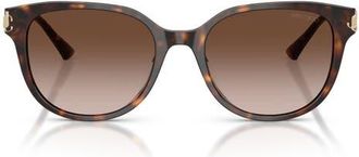 Jimmy Choo London 55mm Gradient Phantos Sunglasses in Havana /Gradient Brown at Nordstrom