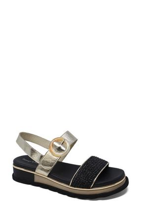 Django & Juliette Chaviva Backstrap Sandal in Black-Gold Syn Raffia at Nordstrom, Size 41