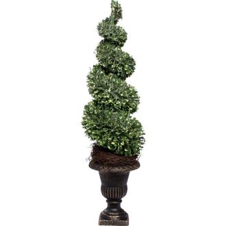 Mark Roberts Spiral Topiary, Set of 2 in Green at Nordstrom