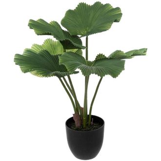 Atmosphera Atmosphera - Palmera Artificial - Maceta De Cemento - H65 Cm Cr&eacute;ateur DInt&eacute;rieur