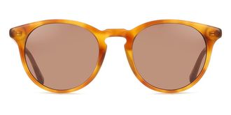 Messy Weekend NEW DEPP Havana Brown Mens Sunglasses Tortoiseshell Size 51
